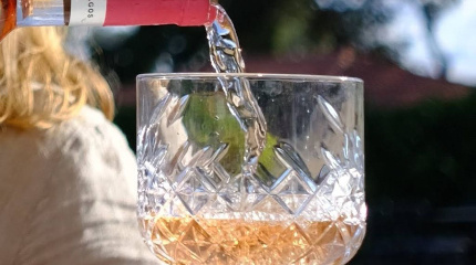 Estate visit and sparkling wine tasting