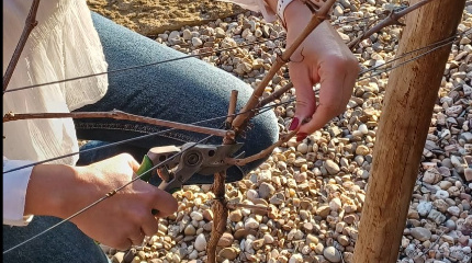 Workshop de Poda. - 8 Fevreiro