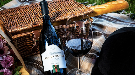 Visita e Prova de 4 Vinhos Santar Tradition