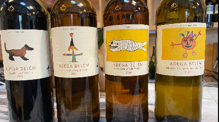 Harmonização de 5 vinhos