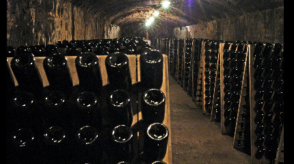 Guided tour & Sparkling Wine Tasting (weekends)