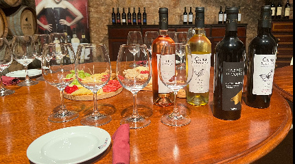 Gourmet Lunch with Wine pairing