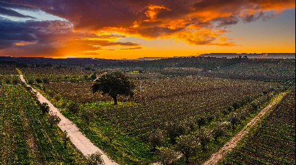 Visit, walk, and Premium 3 Wine Tasting 