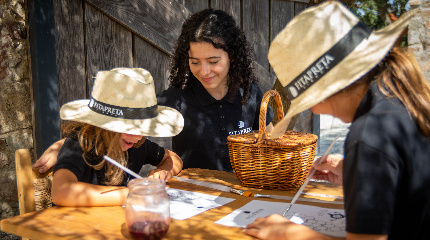Experiência para crianças durante a Vindima