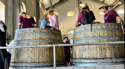 Experiência da Vindima - 7 Septembro