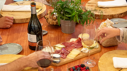  Winery Tour & 6 Wine Tasting with snacks 