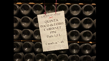 Guided Tour & Historical 4 Wine tasting