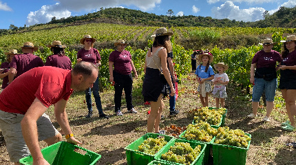 A day during Harvest - 21 September