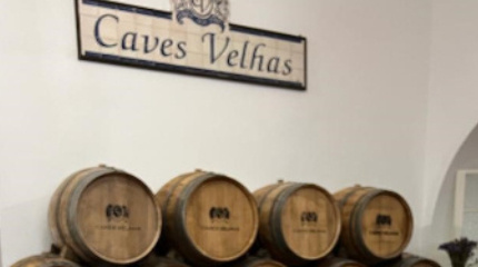 Visita à adega com prova de vinhos clássico