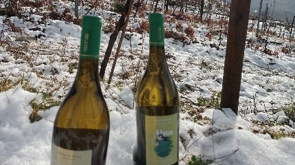 Visita e prova de 3 vinhos Feel & Soul