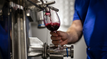 Reserva and Premium wine tour and tasting