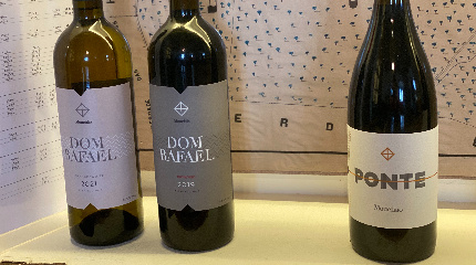 Winery guided tour & 3 wine tasting 