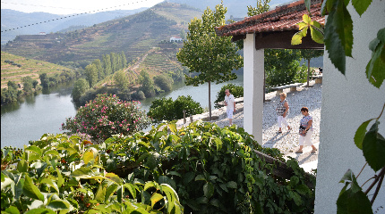 Visita e Prova de vinho Douro DOC ou vinho do Porto
