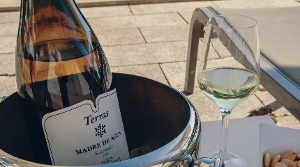 3 Wine Tasting–groups more than 3 persons 