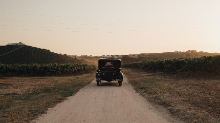 Almiara Raízes e Tradição