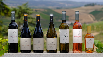 Sensações do  Atlântico