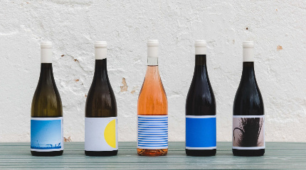 Visita à vinha e Degustação de Vinhos 