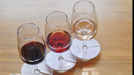 Visit and Vintage Port Tasting