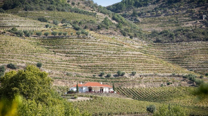 The Specialist Tasting & Tour