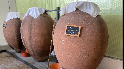 Amphora Tasting